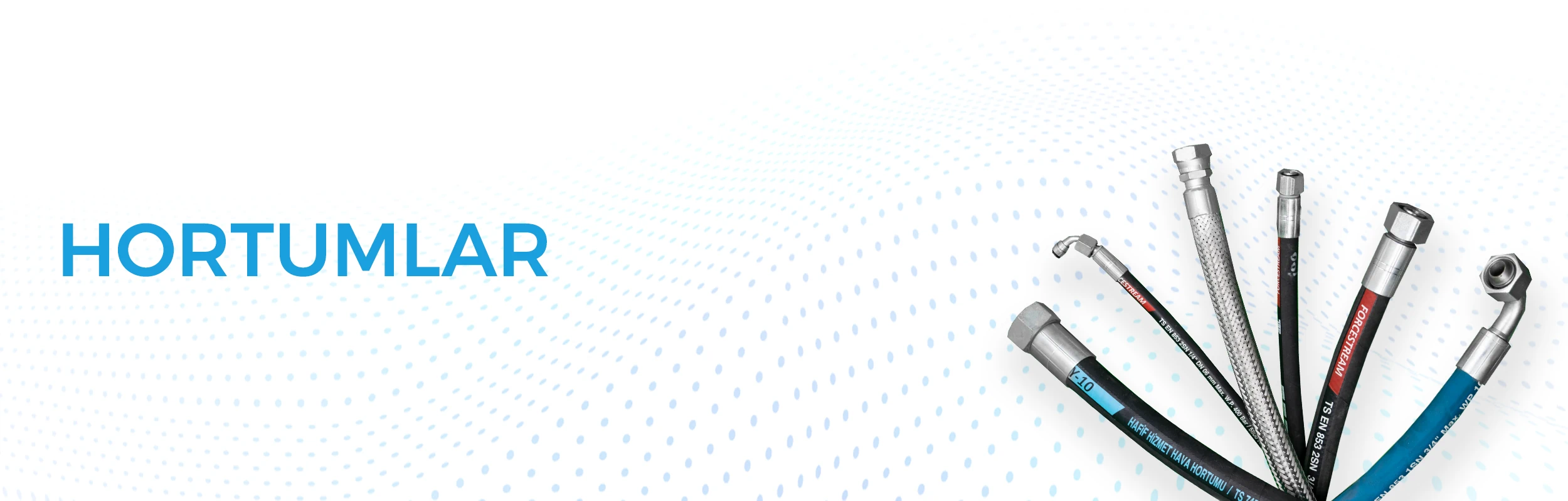hortumlar